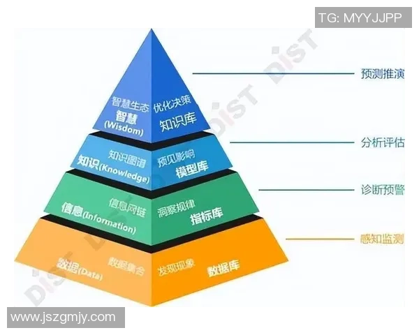 369上单操作解析:如何通过精准决策带领团队走向胜利